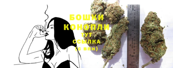 прущие грибы Белоозёрский