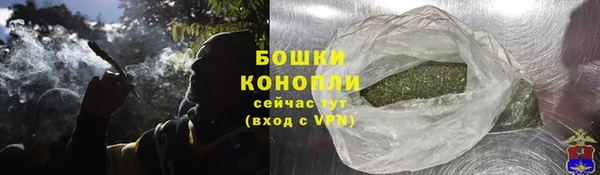 прущие грибы Белоозёрский