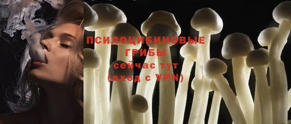 прущие грибы Белоозёрский