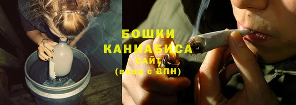 прущие грибы Белоозёрский