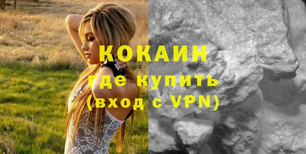 прущие грибы Белоозёрский