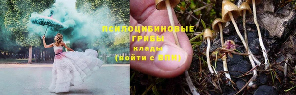 ALPHA PVP Беломорск