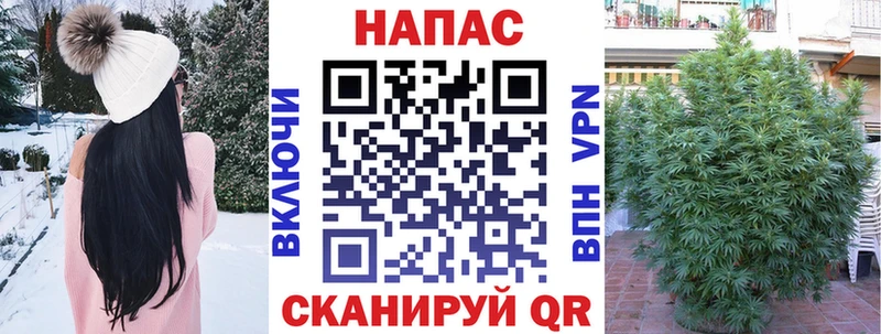 mega ссылки  цена   Новая Усмань  Каннабис ГИДРОПОН 